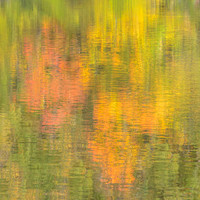 Fall - 1   20 x 20"