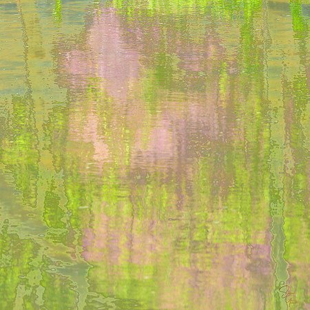 Spring - 5   30x30"