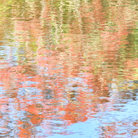 Light on Water - Spring - 5 20x20"