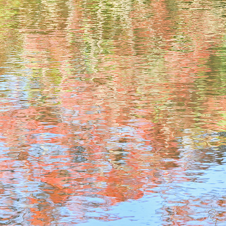 Light on Water - Spring - 7 20x20"