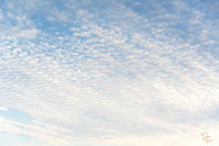 Sky - 8