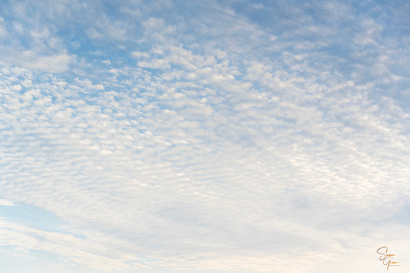 Sky - 8