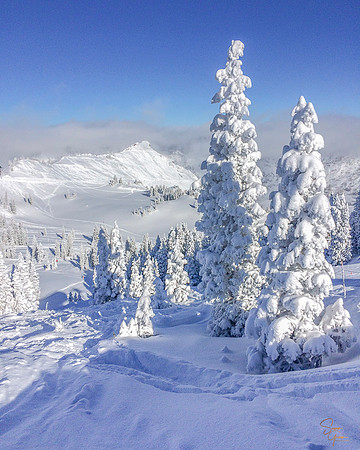 Alta, Utah