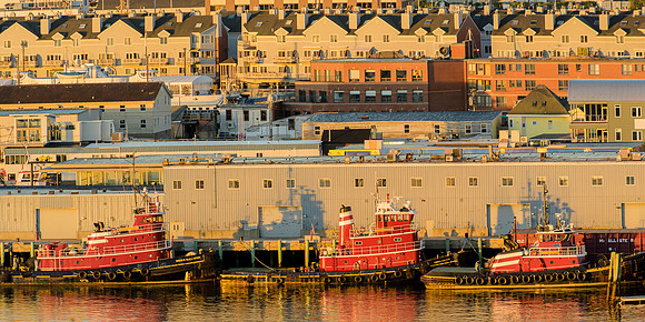 Portland, Maine - Tugboats at Dawn