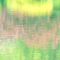 Spring - 1          20 x 20"