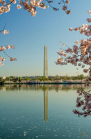 Washington Monument - 1