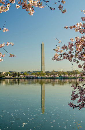Washington Monument - 1