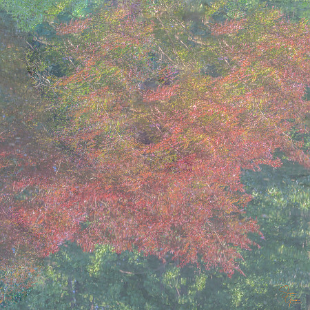 Fall - 3  20 x 20"