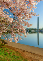 Washington Monument - 2