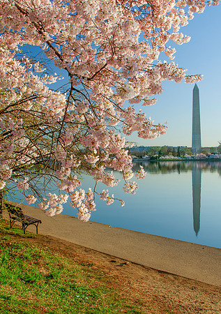 Washington Monument - 2