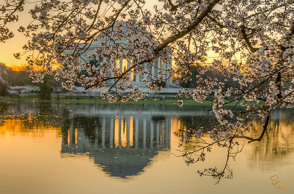 Jefferson Memorial at Dawn - 2