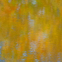 Fall - 2    20 x 20"
