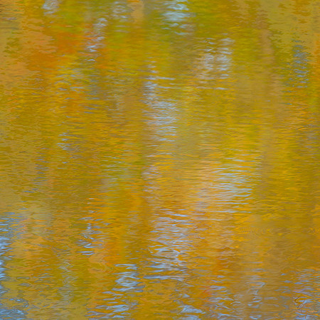 Fall - 2    30 x 30"