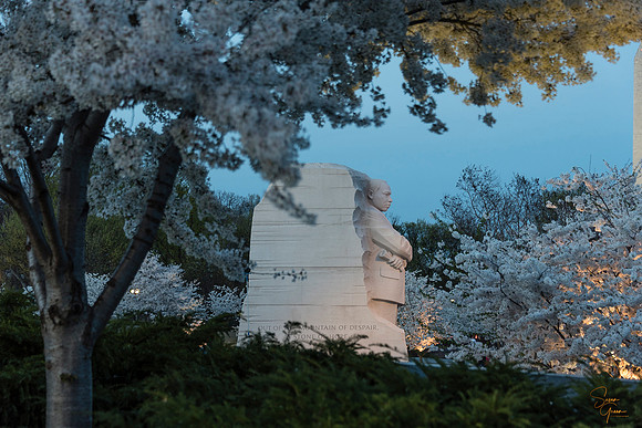 Martin Luther King Memorial at Night