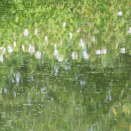 Summer-1                30 x 30"