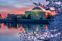 Jefferson Memorial at Dawn - 1