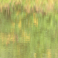 Summer-4   20 x 20"