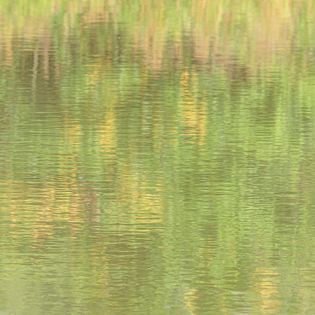 Summer-4   30 x 30"