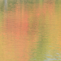 Fall - 5   20 x 20"
